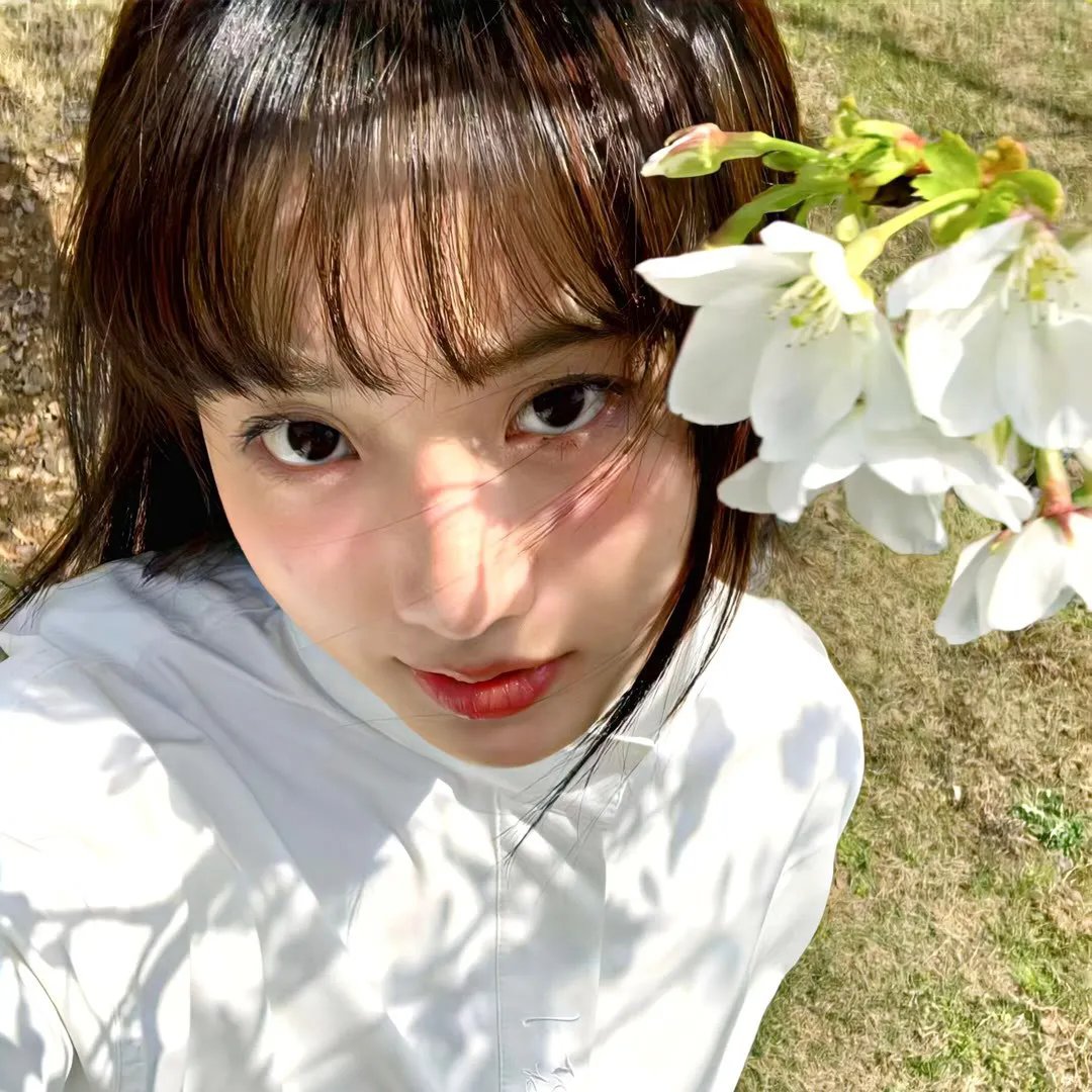 我们若只如初见